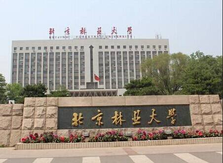 ������ҵ��ѧ