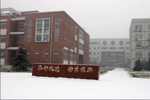 ����ʯ�ͻ���ѧԺ