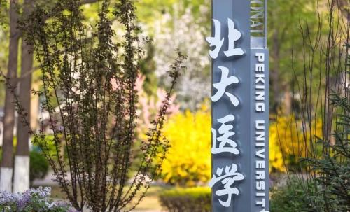 ������ѧ