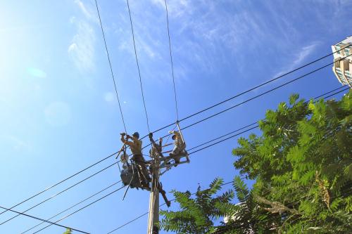 ��Ӧ�缼������ררҵ